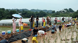“六一遇端午 粽享童趣”—興瀘投資集團機關工會開展親子戶外活動